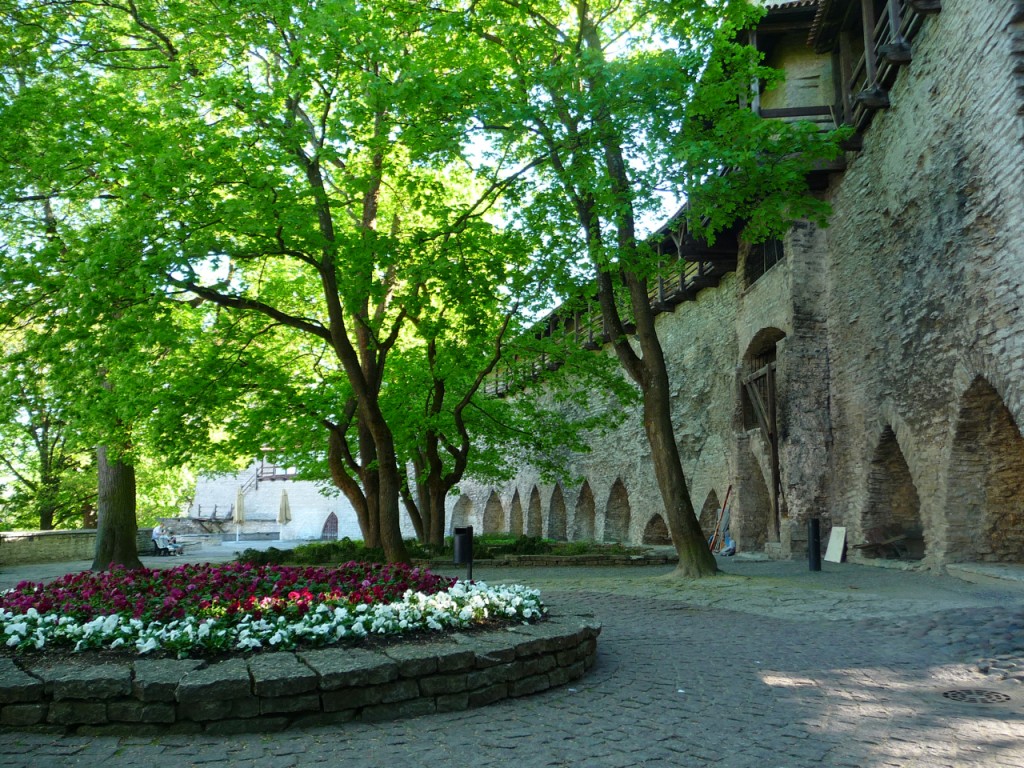 Tallinn Courtyard