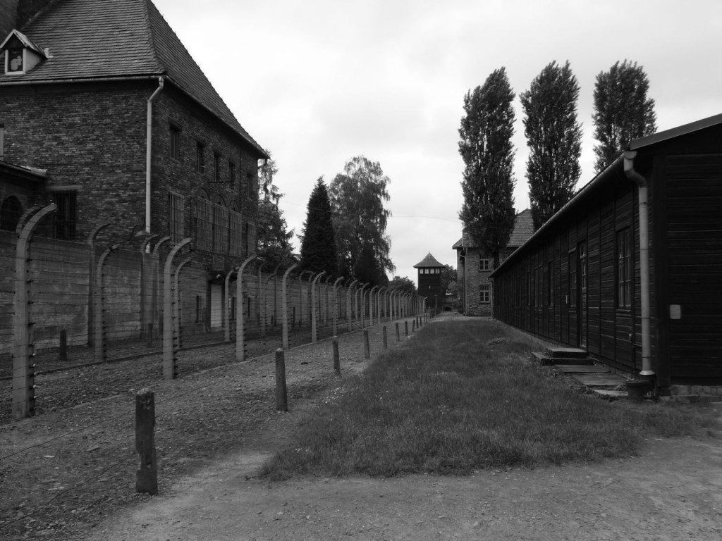 Auschwitz Fence