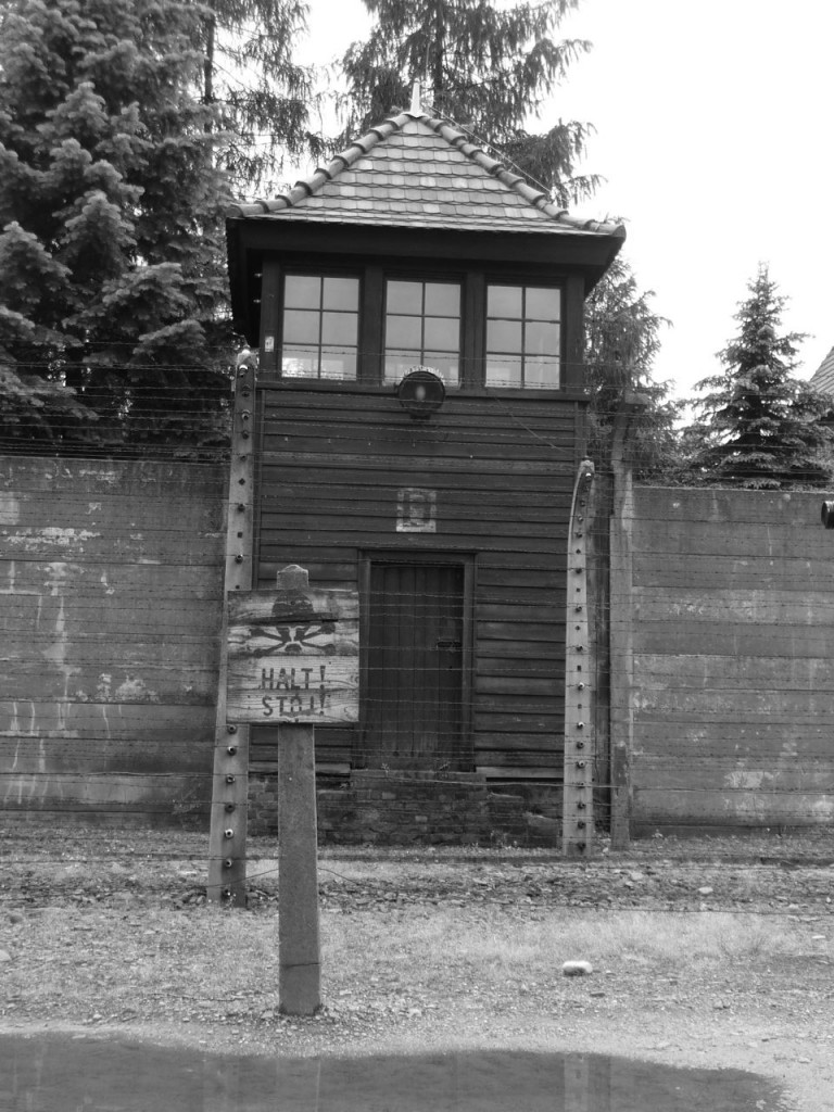 Auschwitz Tower