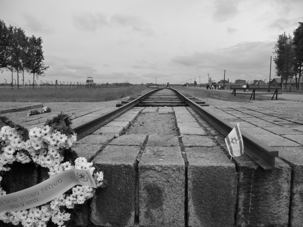 Birkenau End Of The Line