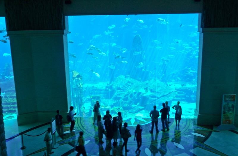 Dubai Luxury Atlantis Aquarium