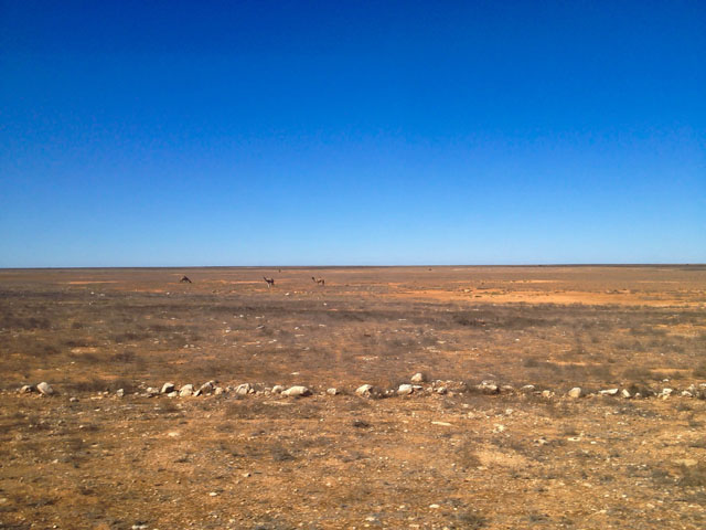 The Indian Pacific Nullarbor Plain