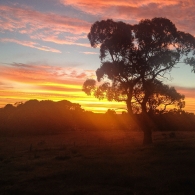Welcome Home Sunrise