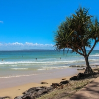 Beach Life - Sunshine Coast
