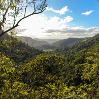Sunshine Coast Hinterland