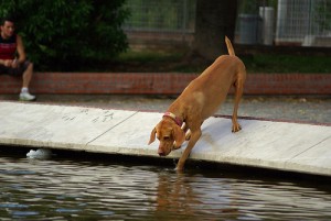 Testing the Water