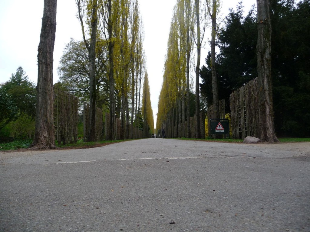 Cemetary in Copenhagen