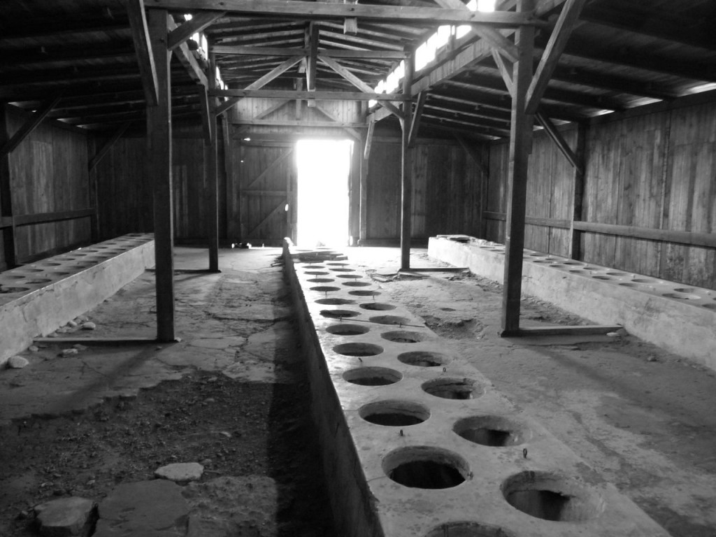 Birkenau Toilets