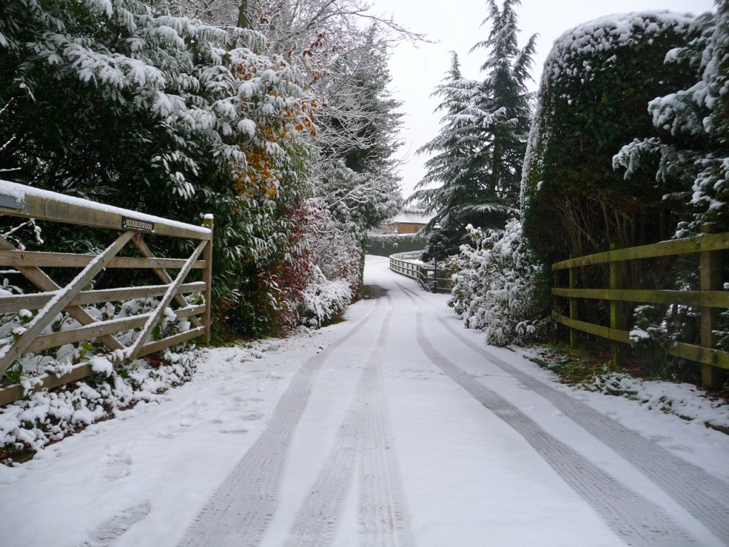 First Snow of the Season