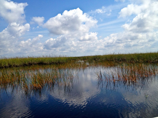Visit To America Florida Everglades